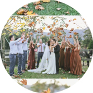 Cheap Brown Bridesmaid Dresses Sydney