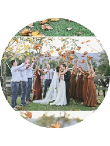 Cheap Brown Bridesmaid Dresses Sydney